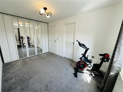 Picture 13
